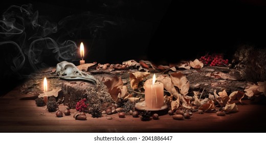 Altar of forest witch. Samhain pagan ritual. Birds skull, ashberry, acorns, dry herbs, pine bark among burning candles in the dark, low key, selected focus. Copy space. - Shutterstock ID 2041886447
