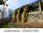 Altenstein Castle Park in November