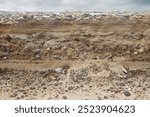 Alternation of layers of coarse sand and gravel in a sediment on the coast