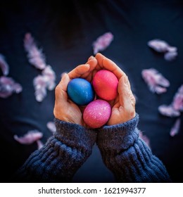 Alternative Easter composition in dark style with classic blue and pink color eggs, feather and hands of senior woman over black background, spring season holidays concept