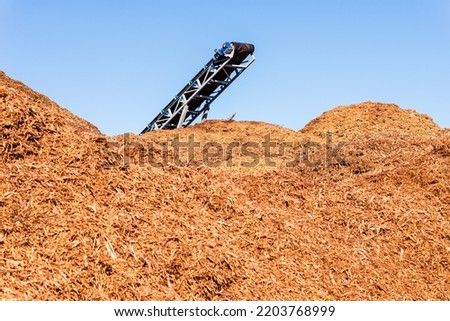 Alternative fuel,ecological fuel,biofuel sawdust,sawdust closeup background.Sawdust texture at sawmill factory.A large pile of sawdust from wood after wood processing.Outdoors shot.