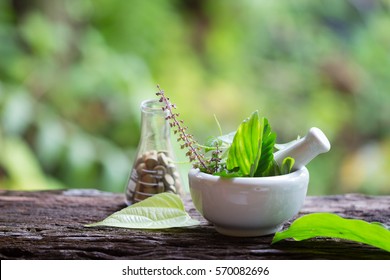 Alternative health care fresh herbal plant  and herbal pill in Erlenmeyer flask with mortar on old rustic wooden background over green bokeh background - Powered by Shutterstock