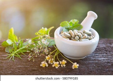 Alternative health care fresh herbal plant and herbal capsule in white Mortar Grinder drugs on old rustic wooden background over green bokeh background