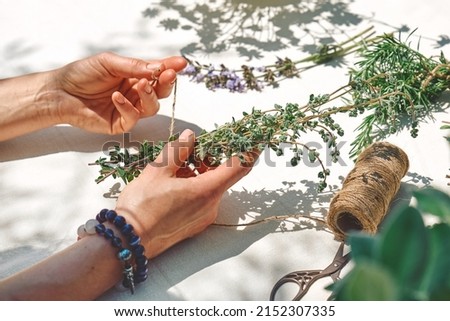 Alternative medicine. Collection and drying of herbs. Woman holding in her hands a bunch of marjoram. Herbalist woman preparing fresh scented organic herbs for natural herbal methods of treatment.