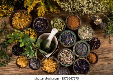 Alternative medicine, dried herbs background - Shutterstock ID 1578647575