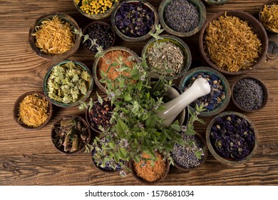 Alternative medicine, dried herbs background - Shutterstock ID 1578681034