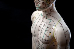 Alternative Medicine And East Asian Healing Methods Concept With Acupuncture Dummy Model With Copy Space. Acupuncture Is The Practice Of Inserting Needles In The Subcutaneous Tissue, Skin And Muscles