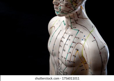 Alternative medicine and east asian healing methods concept with acupuncture dummy model with copy space. Acupuncture is the practice of inserting needles in the subcutaneous tissue, skin and muscles