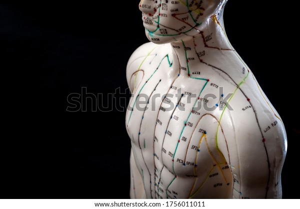 Alternative medicine and east asian healing\
methods concept with acupuncture dummy model with copy space.\
Acupuncture is the practice of inserting needles in the\
subcutaneous tissue, skin and\
muscles