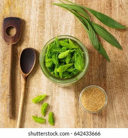 Alternative Medicine Fresh Herbs. Young Fir Tips, Ribwort Leaves And Raw Sugar. Top View.