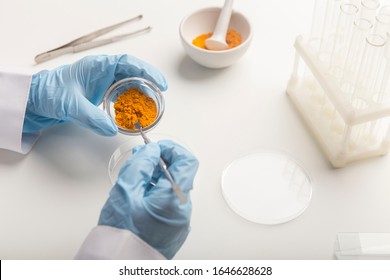 Alternative Medicine. Man in gloves making research of curcuma properties in lab