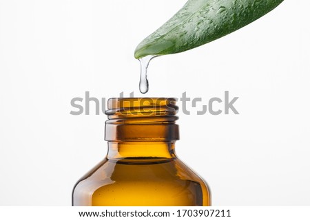 Alternative medicine and remedy, herbal natural cosmetics, aromatherapy and essential oil concept. Water drop falling from leaf into bottle over white background