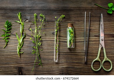 Alternative Medicine. Store Up Medicinal Herbs. Herbs On Wooden Table Background