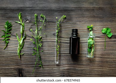 Alternative Medicine. Store Up Medicinal Herbs. Herbs On Wooden Table Background