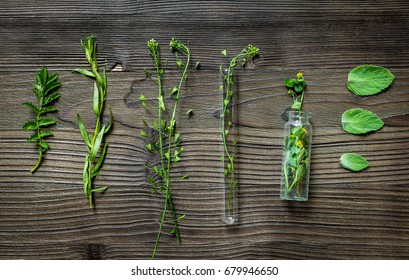 Alternative Medicine. Store Up Medicinal Herbs. Herbs On Wooden Table Background