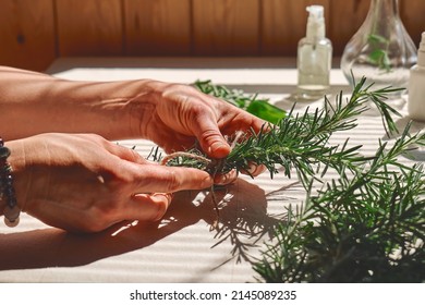 Alternative medicine. Woman holding in her hands a bunch of rosemary. Herbalist woman preparing fresh scented organic herbs for natural herbal methods of treatment. Selective focus. - Powered by Shutterstock