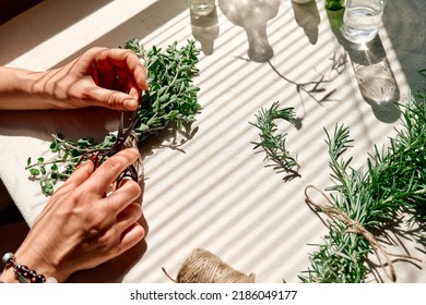Alternative medicine. Women's hands tie a bunch of marjoram. Woman herbalist preparing fresh fragrant organic herbs for natural herbal treatments.
