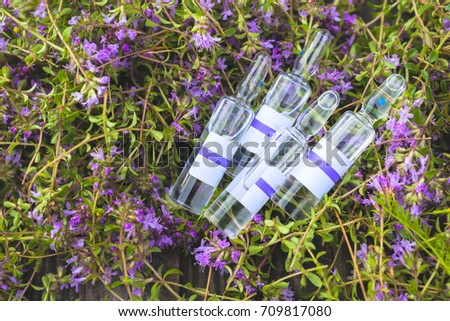 Alternative Medicine.Thyme and medical ampoules on a wooden rustic background. Essential oils and herbal supplements.
