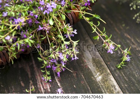 Alternative Medicine.Thyme on a wooden rustic background. Essential oils and herbal supplements.