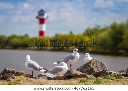 Altes Land