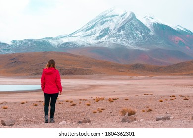 The Altiplano Of The Antofagasta Region, In Northern Chile. Woman Walking Outdoors With Lake And Volcano And Mountain View In The Background. Miñiques Volcano. Lagunas Miscanti Y Miniques.