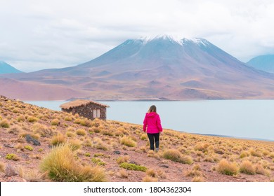 The Altiplano Of The Antofagasta Region, In Northern Chile. Woman Walking Outdoors With Lake And Volcano And Mountain View In The Background. Miñiques Volcano. Lagunas Miscanti Y Miniques.