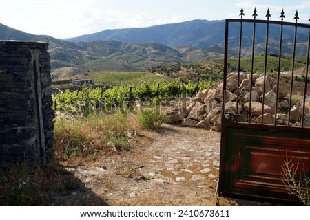 Alto Douro Wine Region, rickety rusty farm gate on a hillside above the Douro Valley, in the district of Braganca, Portugal - May 23, 2023