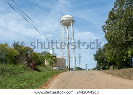 Alto water tower seen behind the trees in Cherokee County, Texas, United States