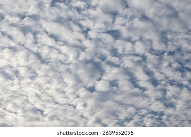 Altocumulus Clouds Pattern in a Blue Sky