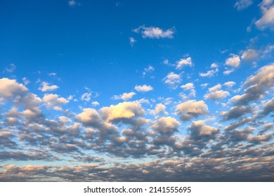 Altocumulus floccus clouds in the blue sky