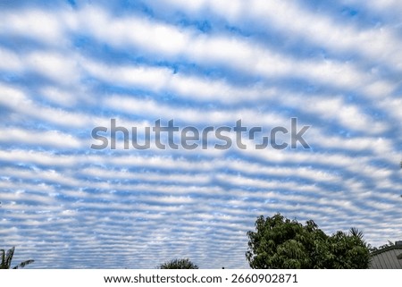 Altocumulus undulatus clouds are a type of mid-level cloud characterized by their wavy, rippled appearance, resembling waves on a water surface.