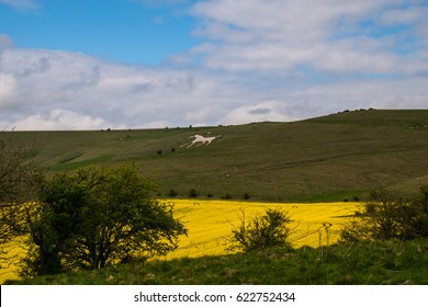 Alton Barnes Ancient White Horse Wiltshire UK