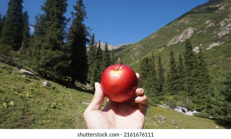 Altyn Arashan Hiking Snack Apple