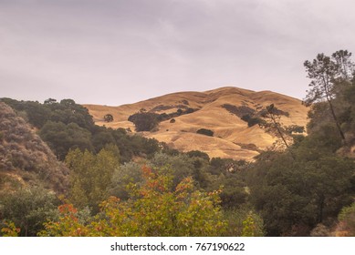 Alum Rock Park