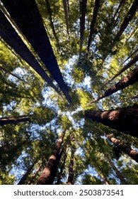 Always remember to look up