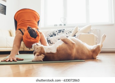 I always will be near with you. Beagle dog lies on the yoga mat when his owner makes yoga exercises - Powered by Shutterstock