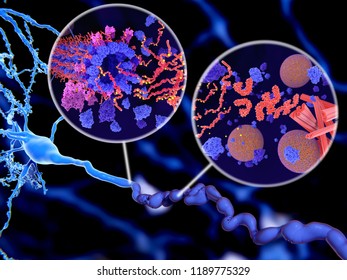 Alzheimer's Disease: Pathological Tau Protein (red-orange) Phosphorylation (yellow) Leads To Disintegration Of Microtubuli And Aggregation To Neurofibrillary Tangles (orange) In A Neuron Axon. 