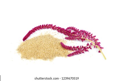 Amaranth plant and seeds isolated on white background