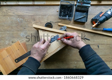 Amateur carpenter with wooden birdhouse.