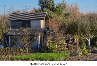 
Amateur recreational and agricultural plot - a tiny brick allotment house on a sunny autumn afternoon. Family Allotment Gardens on a beautiful autumn day just before sunset. - Powered by Shutterstock