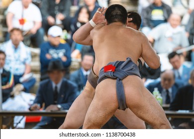 Amateur Sumo Wrestler