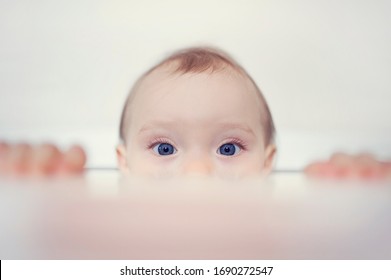 Amazed Child Looking Behind The Wall. Curious Baby Climbs Out. Little Girl With Beautiful Blue Eyes. Child Look At You. Hey, I See You! 