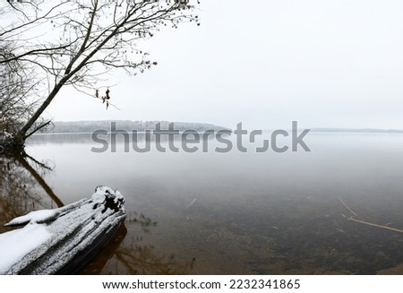 Amazing abstract winter view. Kaunas lagoon coast in Lithuania. Winter view of old tree in water. Lines, curves, angle and perspective. Stunning, wonderful piece of nature. Cold weather winter time.