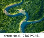 Amazing abundant mangrove forest, Aerial view of forest trees Rainforest ecosystem and healthy environment background, Texture of green trees forest top down, High angle view