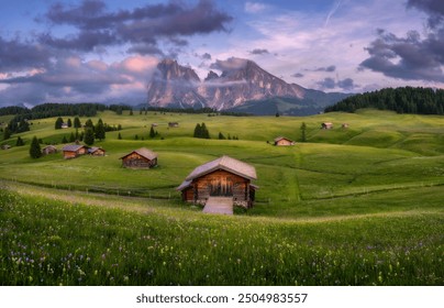 Amazing Alpe di Siusi at sunset in summer. Colorful landscape with alpine mountains in low clouds, village with wooden houses, green meadows, yellow flowers on hills, purple sky. Dolomites, Italy - Powered by Shutterstock