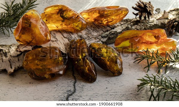Amazing ancient\
amber stones of different colors and forms on a birch bark on a\
gray plastered surface. Amber texture, material for jewelers, stone\
healing, alternative\
medicine.
