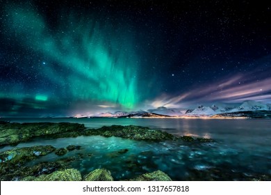 Amazing aurora borealis - northern lights - view from coast in Oldervik, near Tromso city -  north Norway