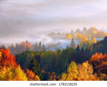 Amazing autumn rural landscape. Fantastic scenery with morning fog. The lawn is enlightened by the sun rays. Green meadows in frost. Touristic place Carpathians valley, Ukraine, Europe.