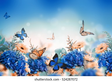 Amazing background with hydrangeas and daisies. Yellow and blue flowers on a white blank. Floral card nature. bokeh butterflies. - Powered by Shutterstock