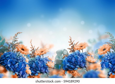Erstaunlicher Hintergrund mit Hydrangen und Gänseblümchen. Gelbe und blaue Blumen auf weißem Leder. Blumenkarten-Natur. Bokeh-Schmetterlinge.